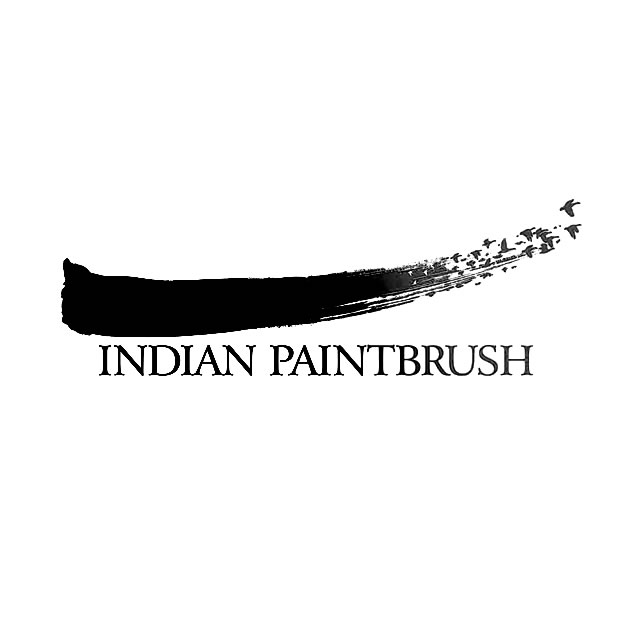 Indian Paintbrush